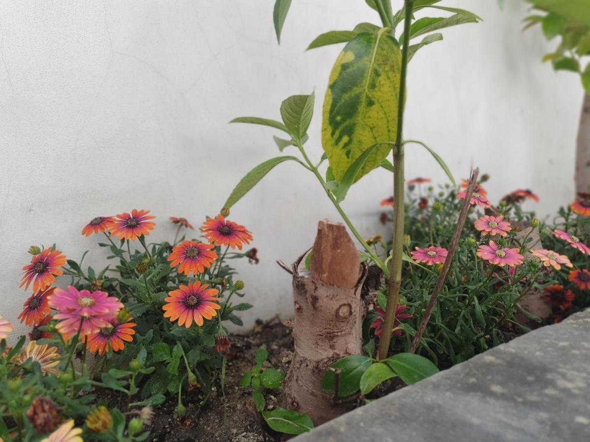 Miro B&B Lecce Luaran gambar